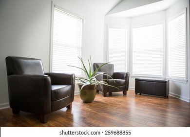 Interior Room With Wood Laminate Flooring, A Large Aloe Plant And Chairs.  Sun Shining In The Windows.