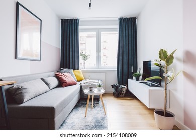 Interior Of Small Apartment Living Room. Real Estate Rent And Home Staging