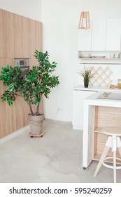 interior of small white kitchen with small mandarin tree