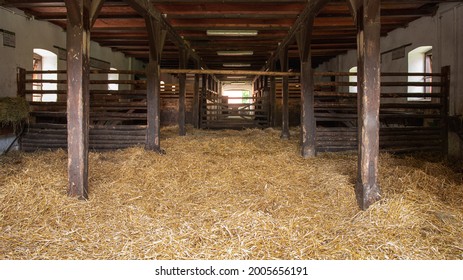 Interior of stable in horse breeding in Florianka, Zwierzyniec, Roztocze, Poland. Clean hay lying down on the floor