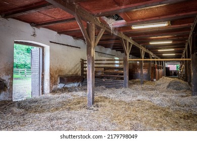 Interior of stable in horse breeding in Florianka, Zwierzyniec, Roztocze, Poland. Clean hay lying down on the floor. Drinker and stalls for horses .
A run for horses in the background