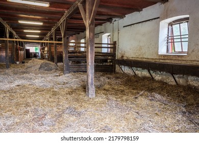 Interior of stable in horse breeding in Florianka, Zwierzyniec, Roztocze, Poland. Clean hay lying down on the floor. Drinker and stalls for horses .