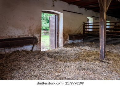 Interior of stable in horse breeding in Florianka, Zwierzyniec, Roztocze, Poland. Clean hay lying down on the floor. Drinker and stalls for horses .
A run for horses in the background