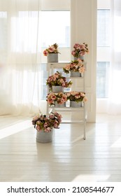 Interior with step ladder and peonies in boxes. Bouquets of delicate flowers in round boxes. Wooden ladder used as shelves for Different plants in home interior against window. Wedding ceremony decor.