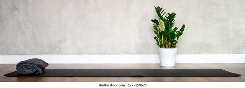 the interior of the studio room for yoga, a rubber mat and a plant zamioculcas on the wooden floor against the background of a gray concrete wall. minimal style. banner. space for text