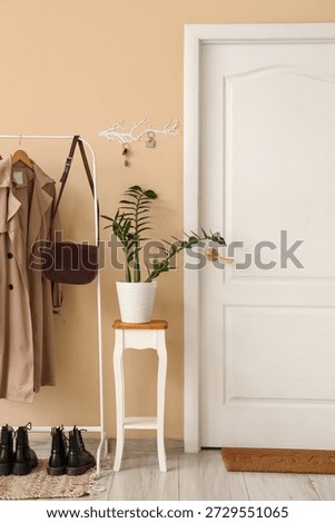 Interior of stylish hall with clothes rack, houseplant and key holder on beige wall