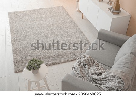 Interior of stylish living room with grey sofa and soft carpet