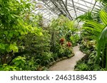 Interior view of Allan Gardens Conservatory. Plants and flowers at Allan Gardens.