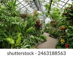 Interior view of Allan Gardens Conservatory. Plants and flowers at Allan Gardens.