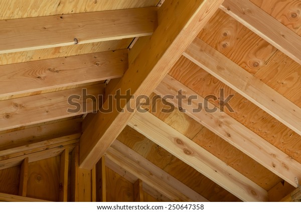 Interior View Construction Pitched Roof Showing Royalty