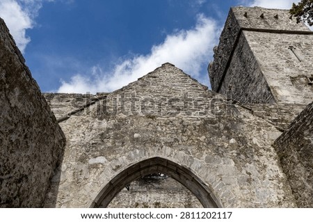 Interior view of Muckross Abbey in Killarney National Park, County Kerry, Ireland