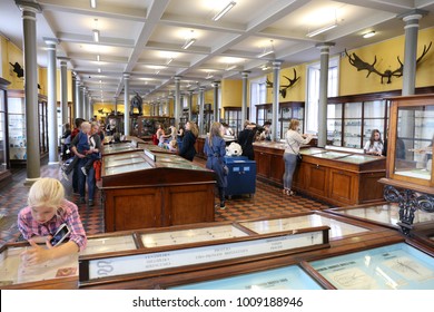 Interior View Of The Natural History Museum Of Dublin Ireland, Also Called The Dead Zoo. Many Stuffed Animals Presented In Large Ancient Decorated Halls. Glass Cages. Picture Taken On 7th August 2016.