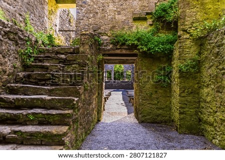 Interior view of old stone ruins in Ireland showing a moss covered stone staircase on the left and a narrow corridor leading to an open air chapel space with wooden benches and large window openings. Green foliage and ivy grow on the ancient stone walls, creating a tranquil historic atmosphere.