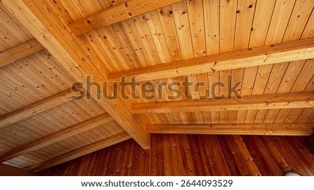 Interior view of a pitched ceiling with exposed wooden beams, architectural detail of rustic or modern construction style.