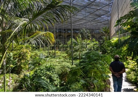 Interior view of a section from the Cold Greenhouse garden located in Lisbon, Portugal.