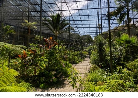 Interior view of a section from the Cold Greenhouse garden located in Lisbon, Portugal.