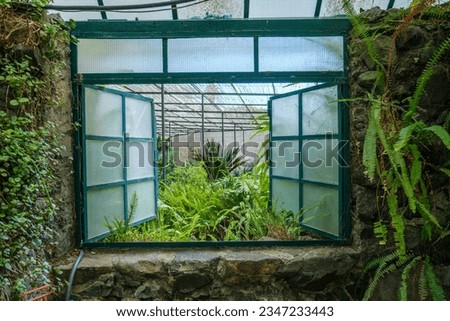 Interior view through the open window of the cold house Estufa Fria is a greenhouse with gardens, ponds, exotic plants and trees in Lisbon, Portugal