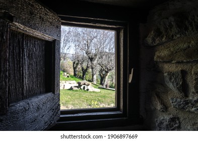 Interior view from the window of a rustic house towards a beautiful garden with trees