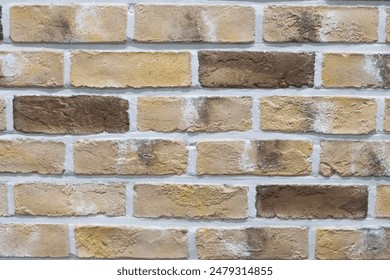Interior wall decorated with light-colored bricks