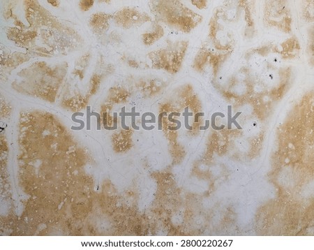 Interior wall surface with black mold patches caused by uncontrolled humidity and lack of ventilation.