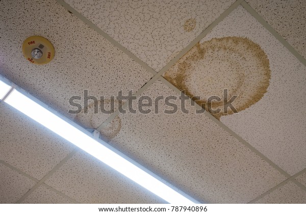 Interior Water Spots On Ceiling Mold Stock Photo Edit Now