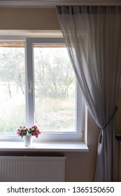 Interior Window With Flowers On Window Sill