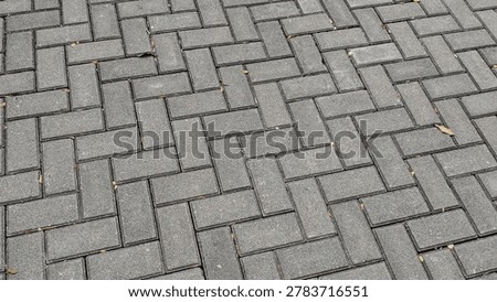 Interlocking concrete pavement blocks forming geometric outdoor flooring pattern with detailed urban texture. Architectural ground surface suitable for walkway, construction, and paving concepts.