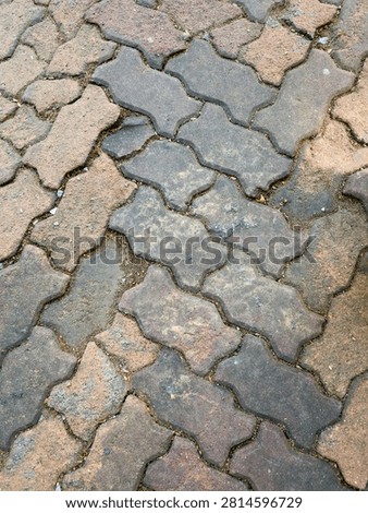 Interlocking wavy concrete paving bricks forming a textured surface on an outdoor walkway.