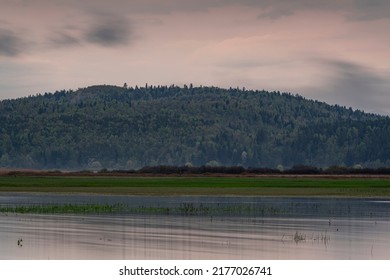 Intermittent Lake Cerknica At A Sunset