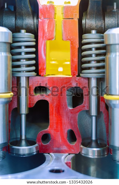 Internal combustion engine, cross section. Valves\
combustion chamber