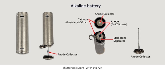 Internal and external structure of the primary battery (alkaline battery)