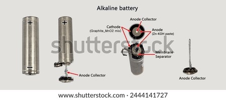 Internal and external structure of the primary battery (alkaline battery)