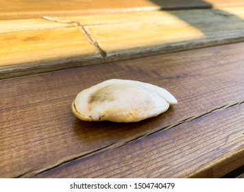 The Internal Of A Mango Seed Without The Seed Husk, Before Planting.