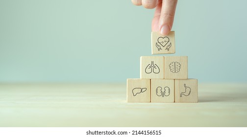 Internal organ protection. Critical illness insurance. Protection, treatment, prevention and patronage health in internal organs; heart, brain, kindneys, liver, lungs, stomach. Wooden cubes background - Shutterstock ID 2144156515