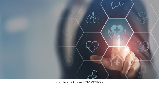 Internal organ protection. Critical illness insurance. Hand touching on protection, treatment, prevention and patronage health icon with internal organs; heart, brain, kindneys, liver, lungs, stomach. - Shutterstock ID 2145228795