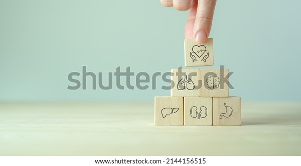 Internal organ protection. Critical illness\
insurance. Protection, treatment, prevention and patronage health\
in internal organs; heart, brain, kindneys, liver, lungs, stomach.\
Wooden cubes\
background