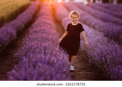 International Children's Day. Adorable smiling little child girl in black dress is walking in the large lavender field on sunset on summer holiday. Kid spending time with her family on nature.