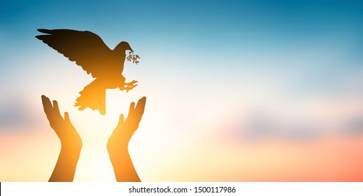 34,017 Dove in hands Images, Stock Photos & Vectors | Shutterstock