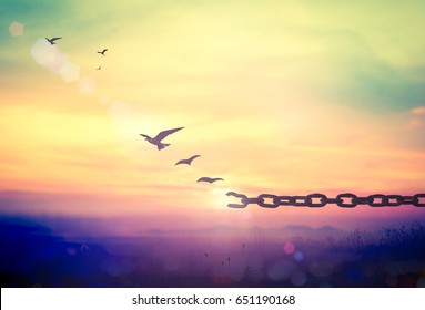 International day for the remembrance of the slave trade and its abolition concept: Silhouette of bird flying and broken chains at beautiful mountain and sky autumn sunset background
