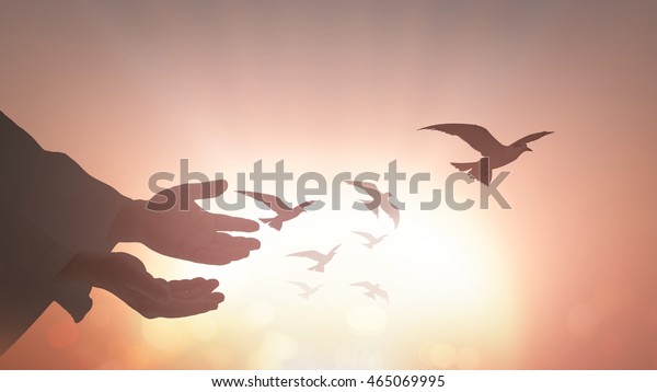 International day for the remembrance of the\
slave trade and its abolition concept: Silhouette islam open two\
empty hands with palm up and birds flying over spiritual light\
background