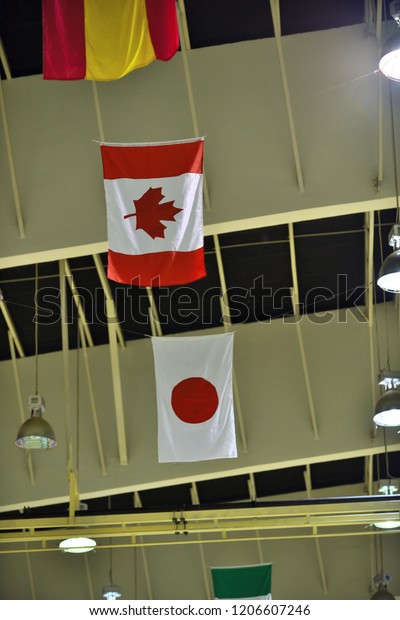 International Flags Hanging Ceiling Sport Hall Stock Photo