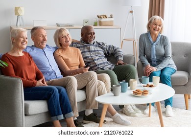 International Group Of Happy Positive Elderly People Group Of Five Watching TV At Nursing Home, Sitting On Couch At Hall, Drinking Tea With Cookies And Enjoying Nice Movie Together