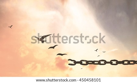 International human rights day concept: Silhouette of bird flying and broken chains at sunset background