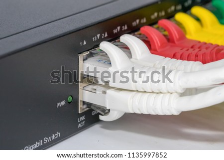 Interner network,Lan cables connected in network switche hub.