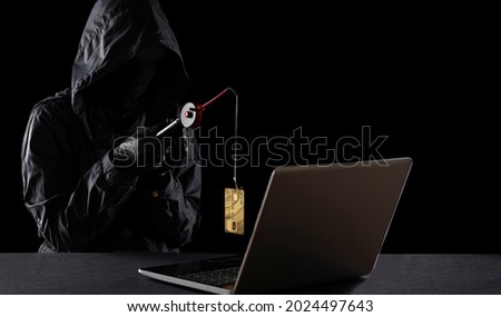 Internet fraud using computer technology, theft of money on the Internet, theft of credit card data. Hacker stole a credit card with a fishing rod.