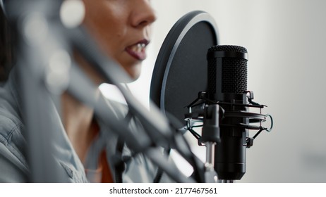 Internet Live Radio Talk Show Host Stock Photo 2177467561 | Shutterstock