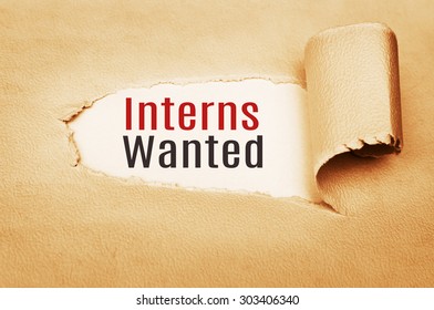 Interns Wanted