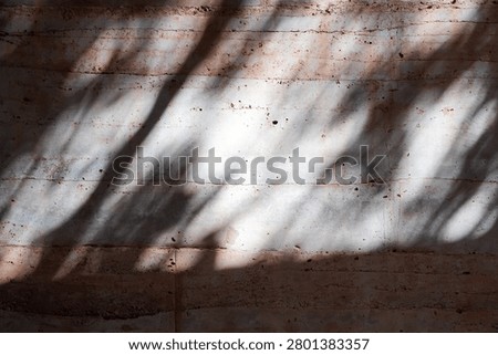 The interplay of light and shadows creates a tranquil visual on the concrete surface