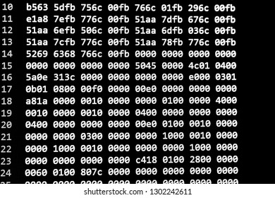 Interpreter of software in error reads the wrong code so the software does not work. Software error and ruined code, program that was destroyed and corrupted due to an error or a malicious virus