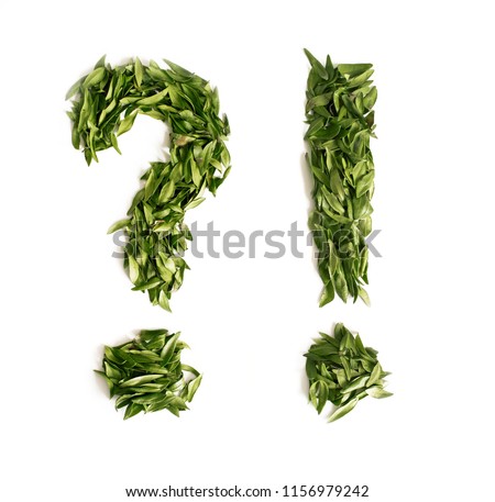 Interrogatory and exclamation marks from leaves on a white background. Isolate